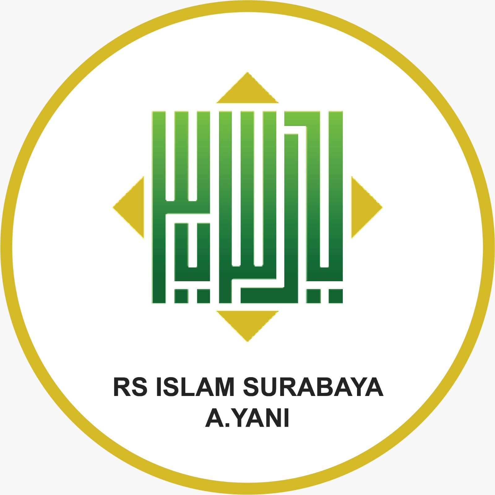 Logo RSI Surabaya
